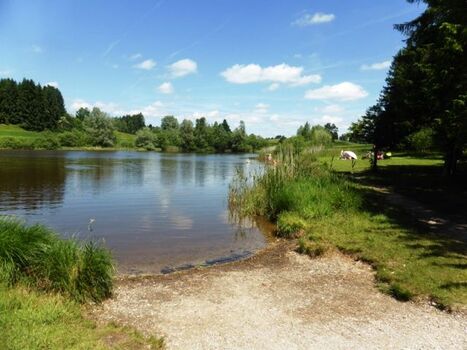 Ein herrlicher Naturbadesee nur ca. 1 km vom Ferienhaus entfernt!