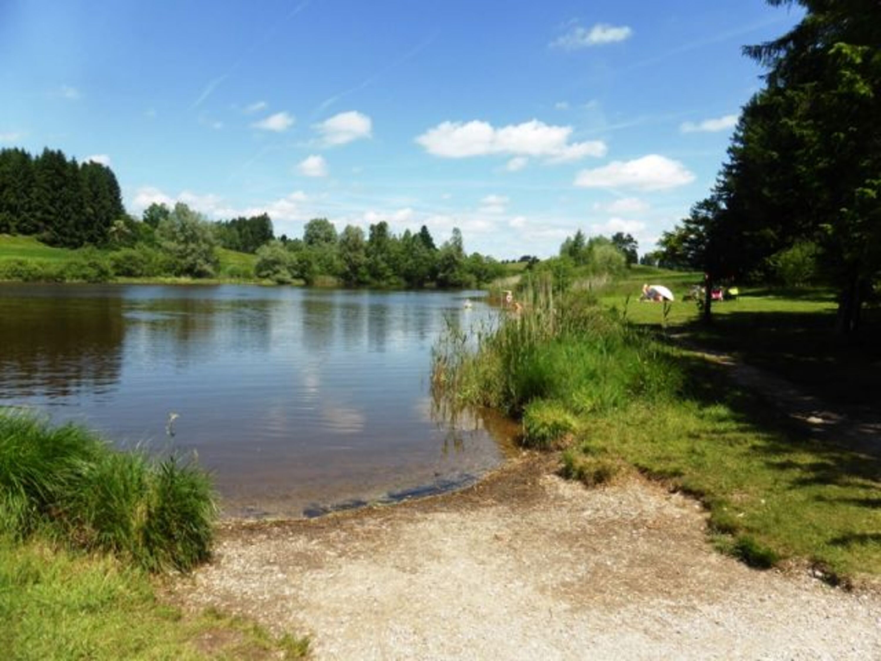 Ein herrlicher Naturbadesee, nur ca. 1 km vom Ferienhaus entfernt!