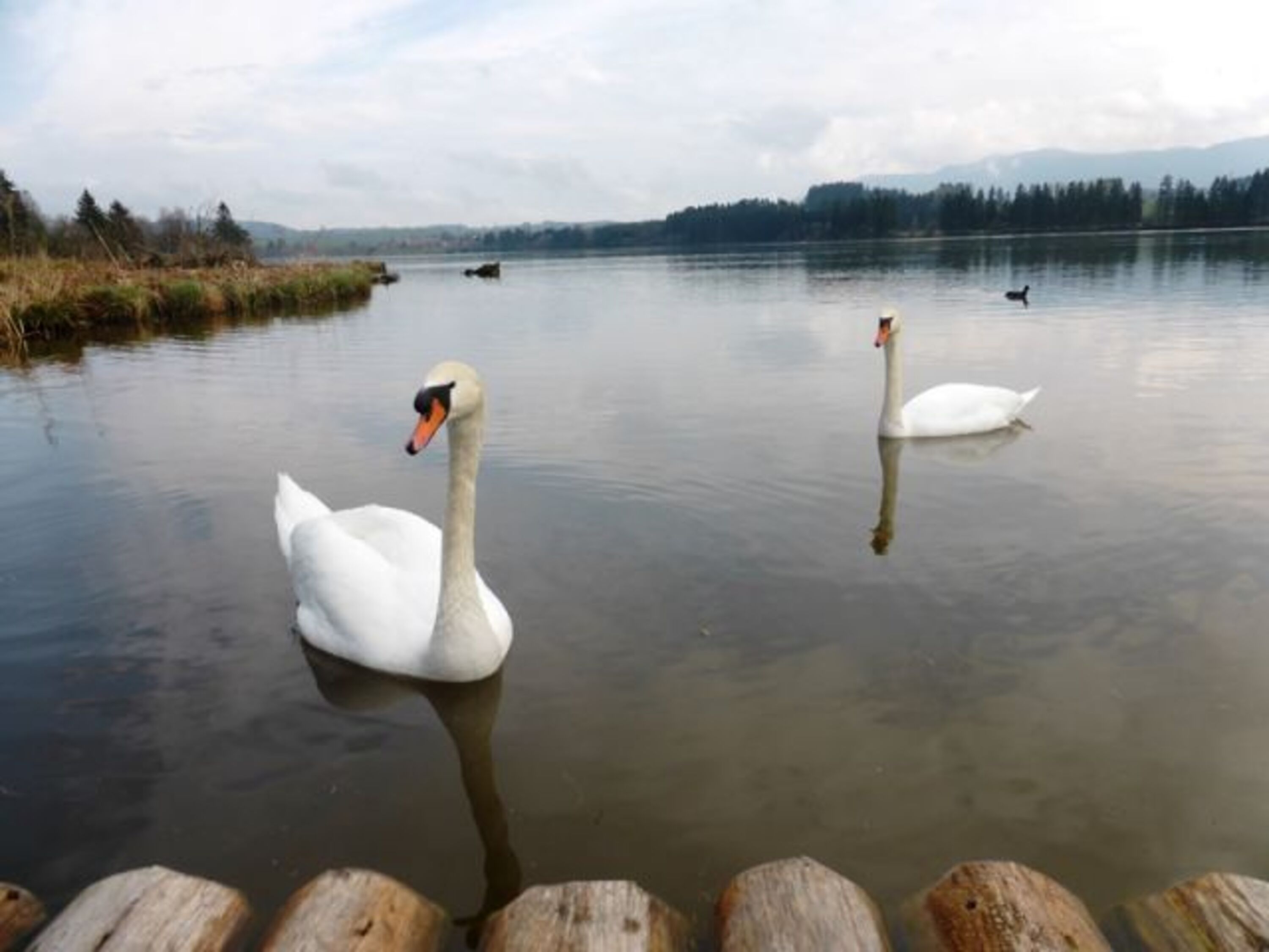 Der Obere Lechsee