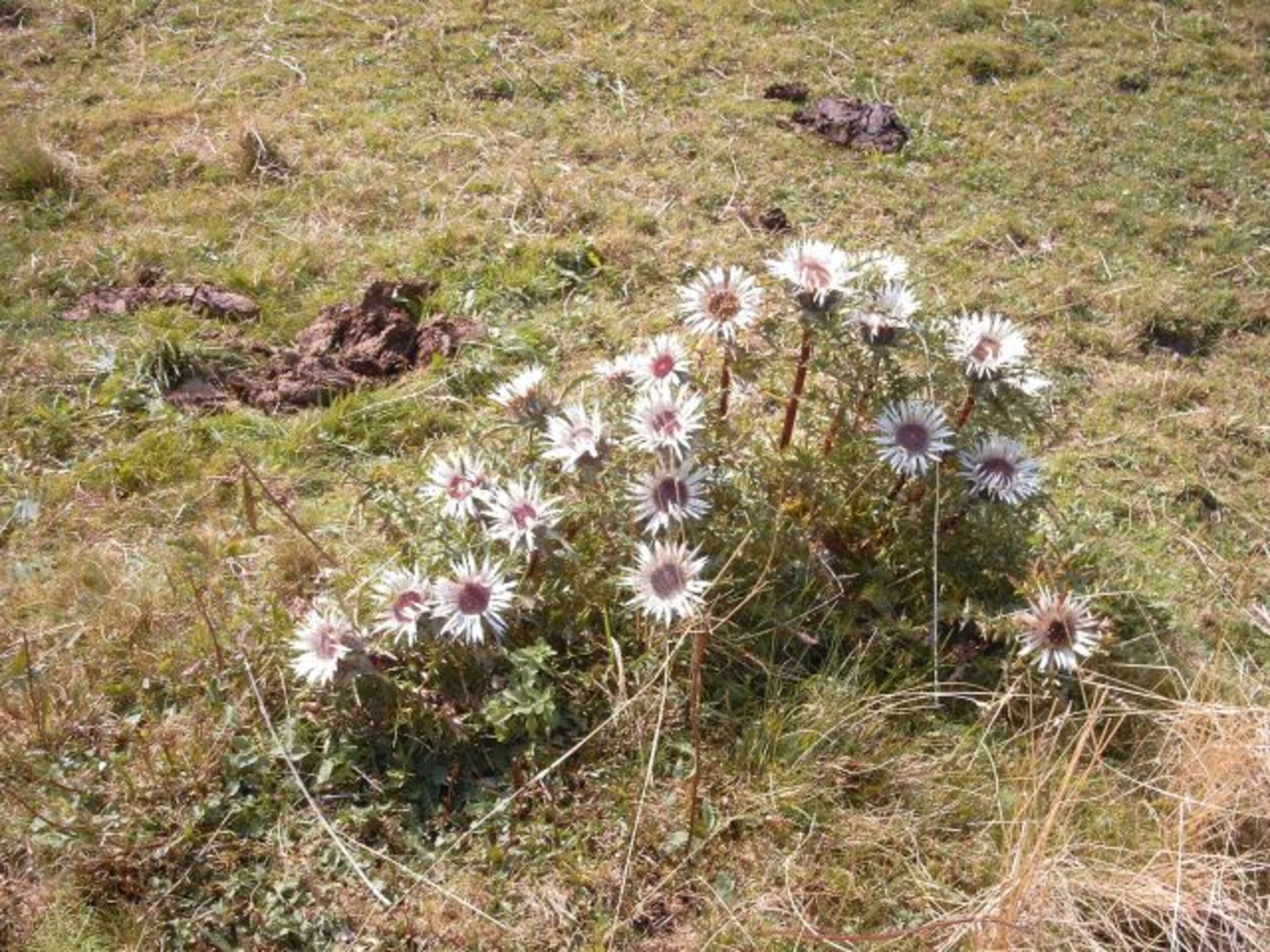 Bild 30