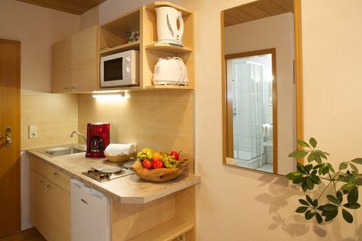 Beispiel Küchenzeile Einzimmerferienwohnung