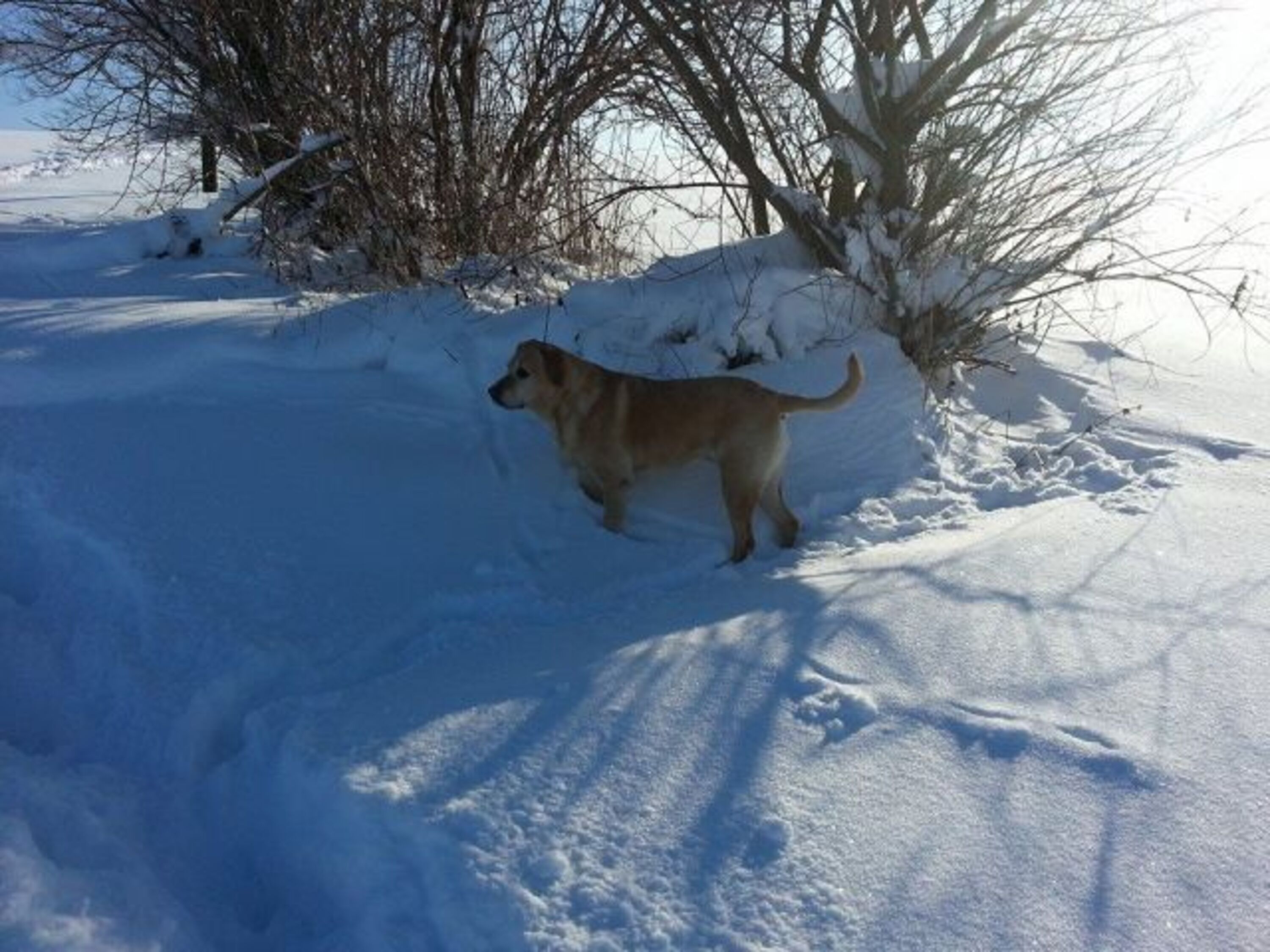 Bild 11
