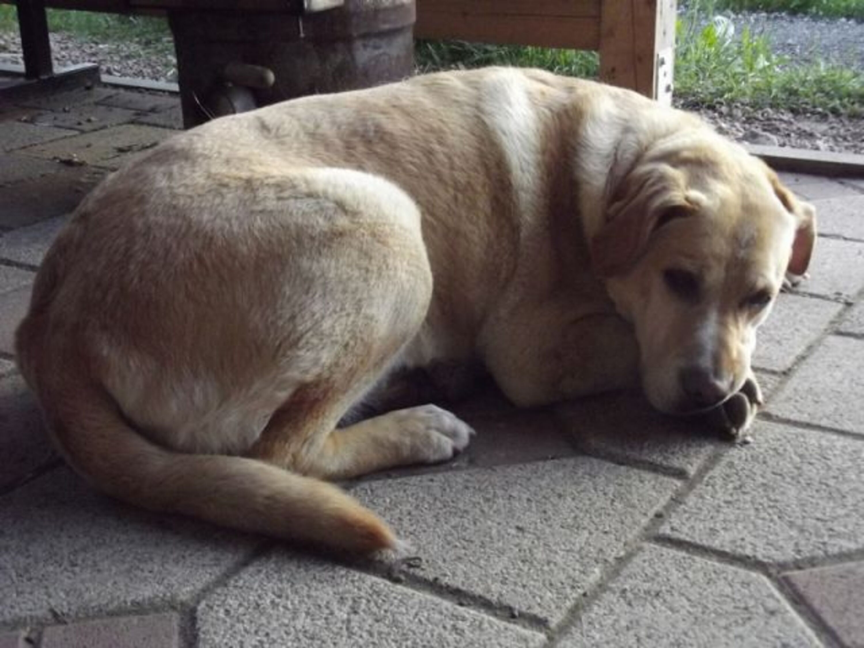 Bild 10