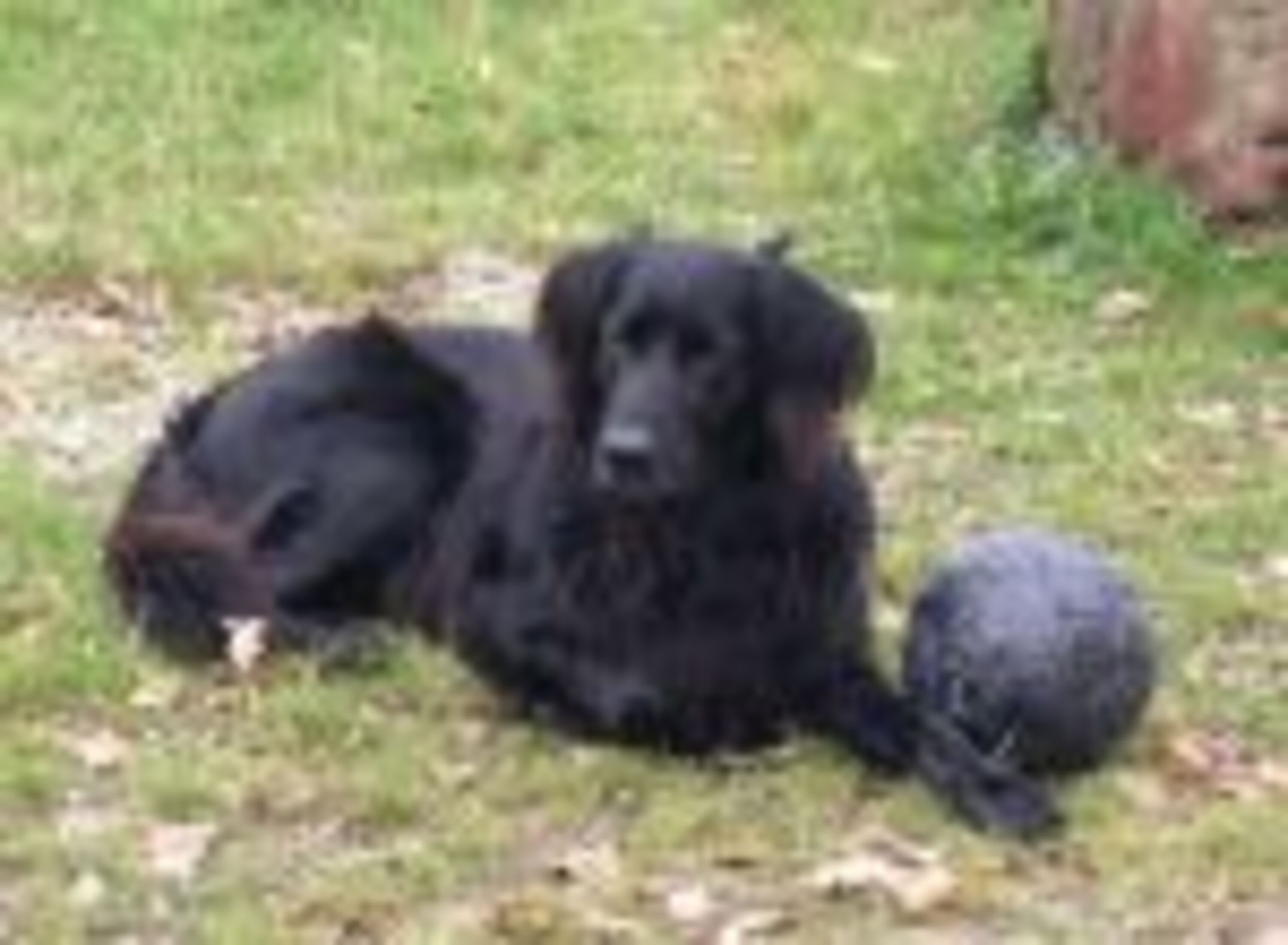 Bild 9