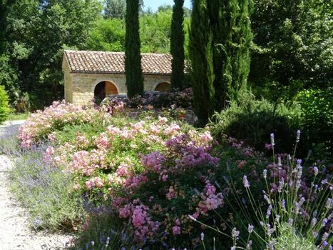 Ankunft, Parkplatz vor dem Stall