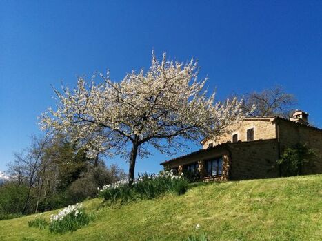 die Casa Lucertola im Frühling