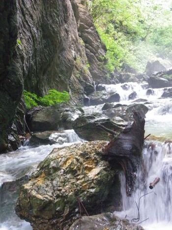 Ausflug in die Schlucht