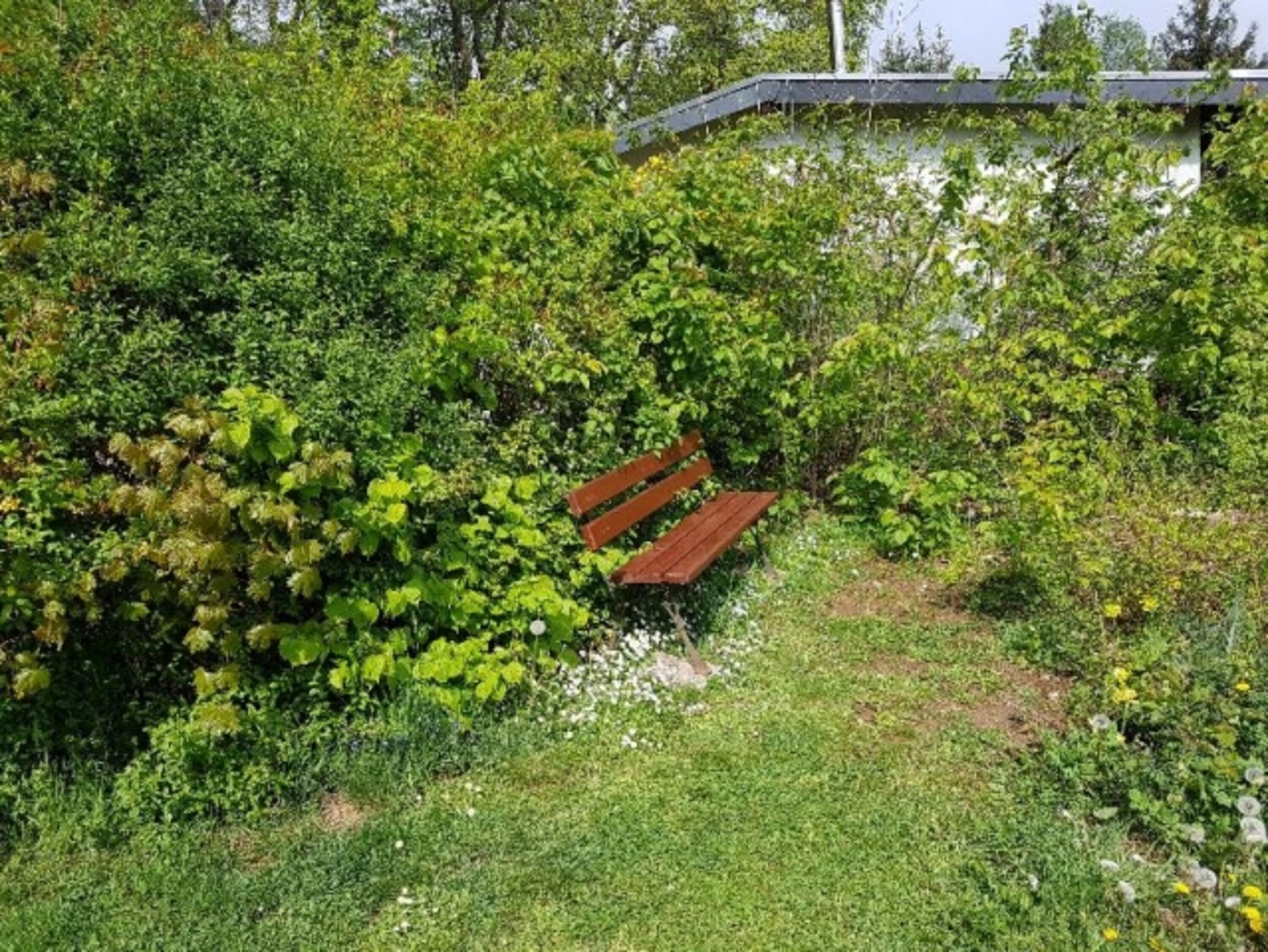 Bild 25