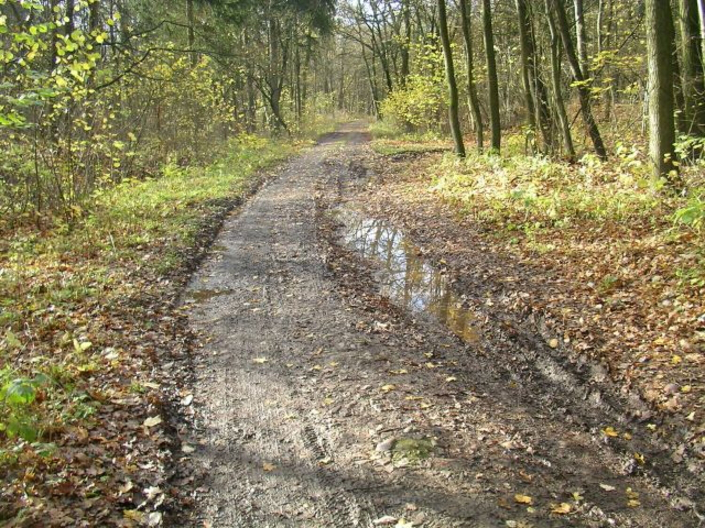 Zufahrt (ca. 700 m)