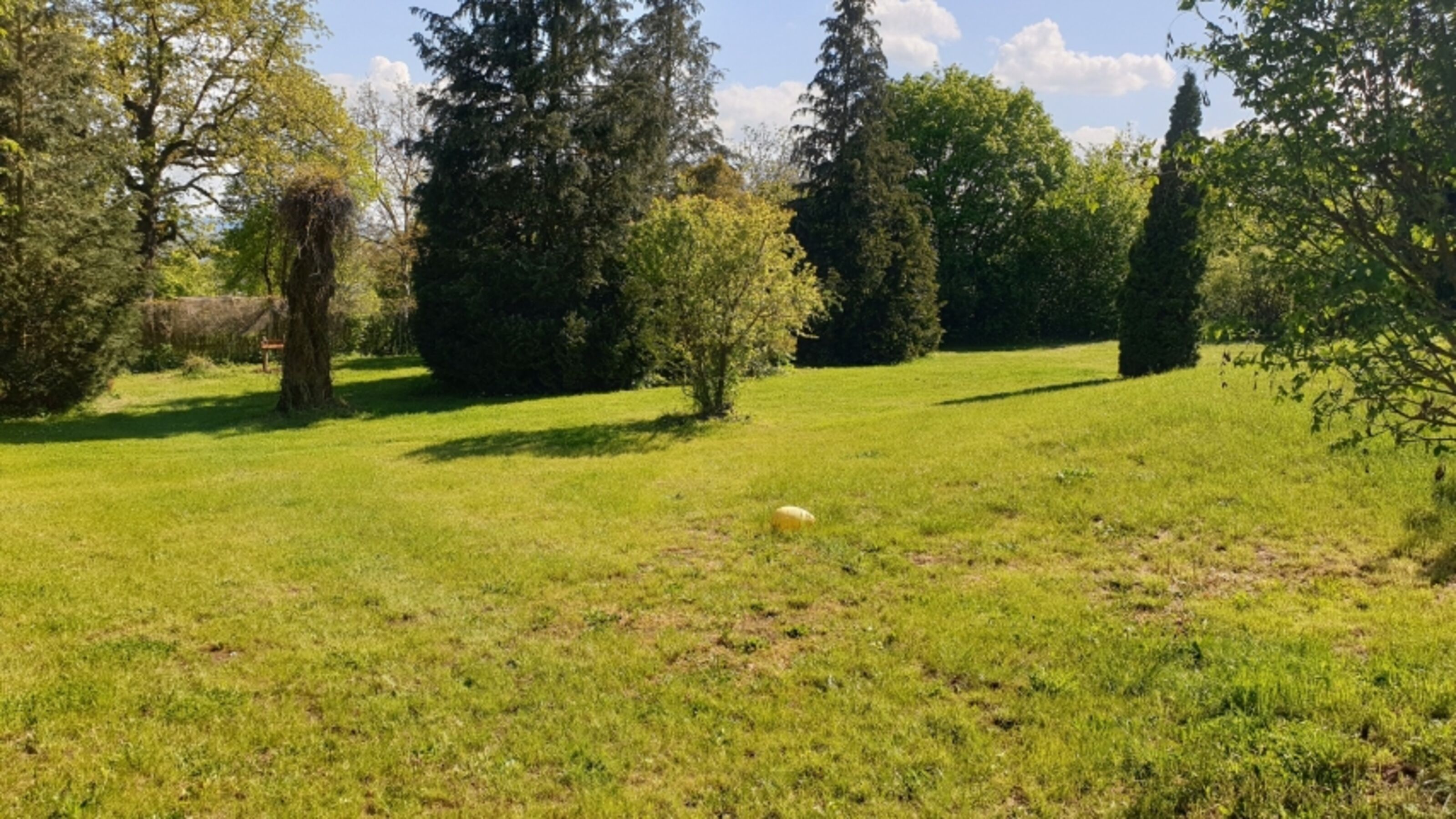 Bild 19