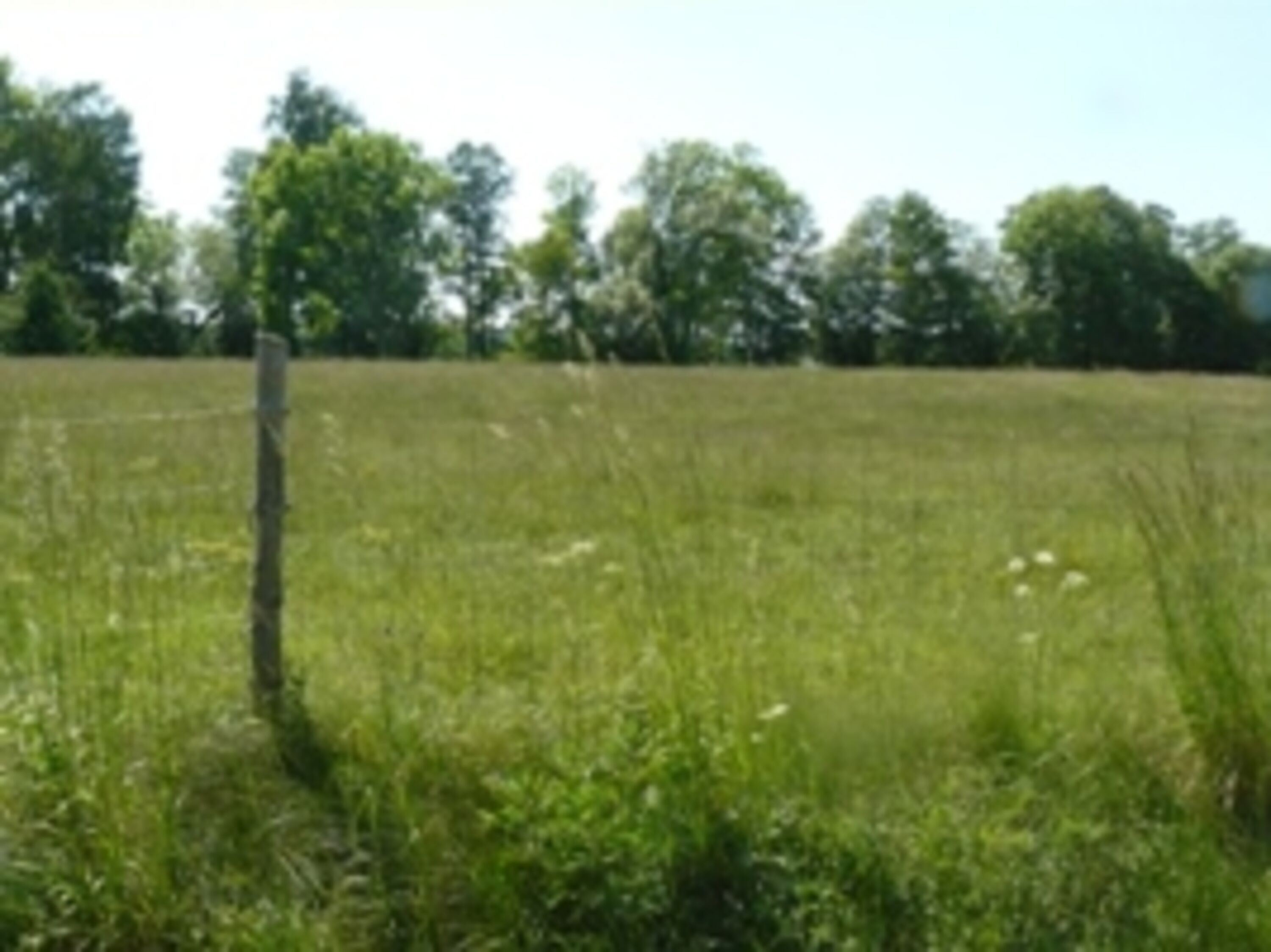 Umgebung