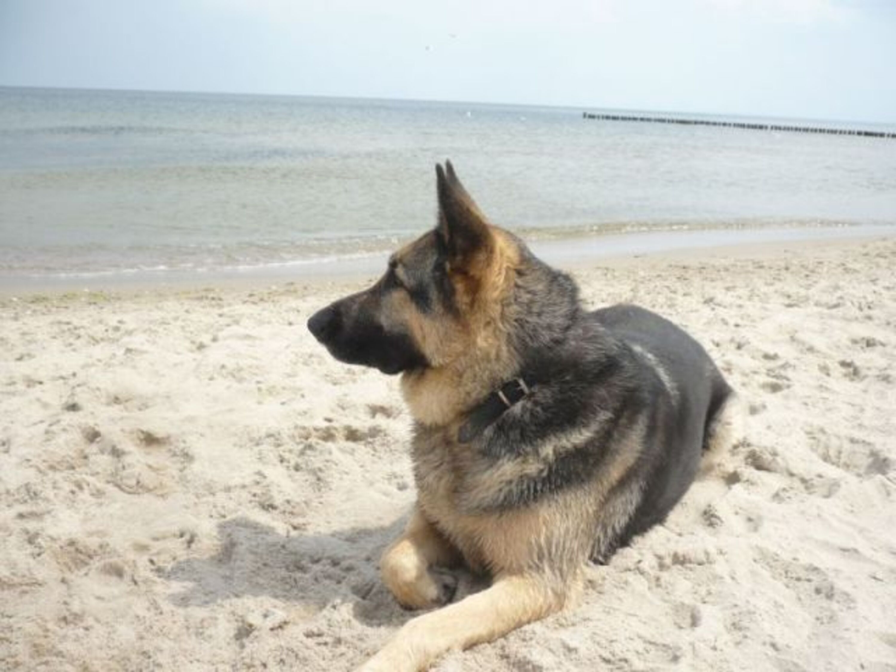 Bild 9