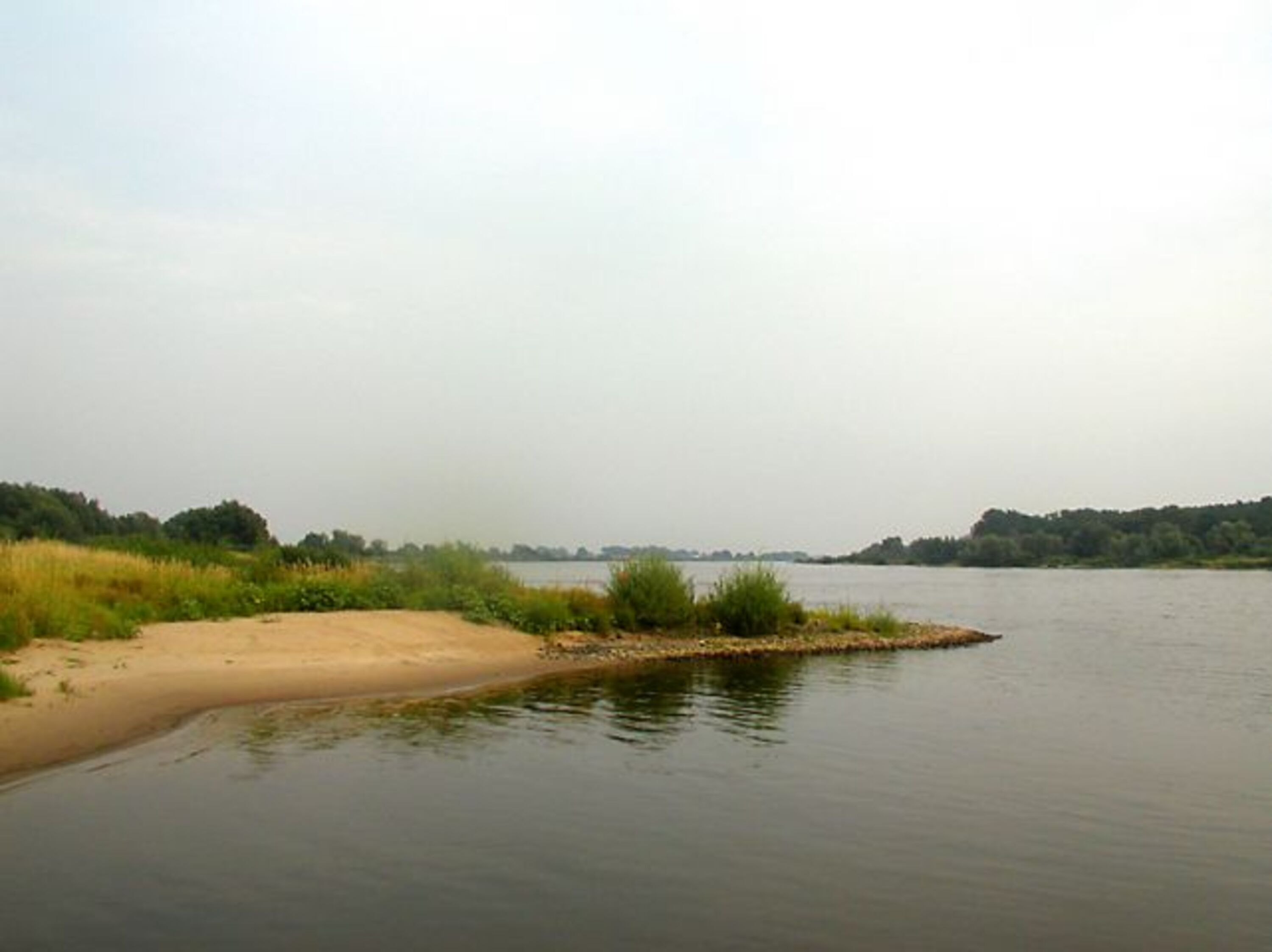 Elbe