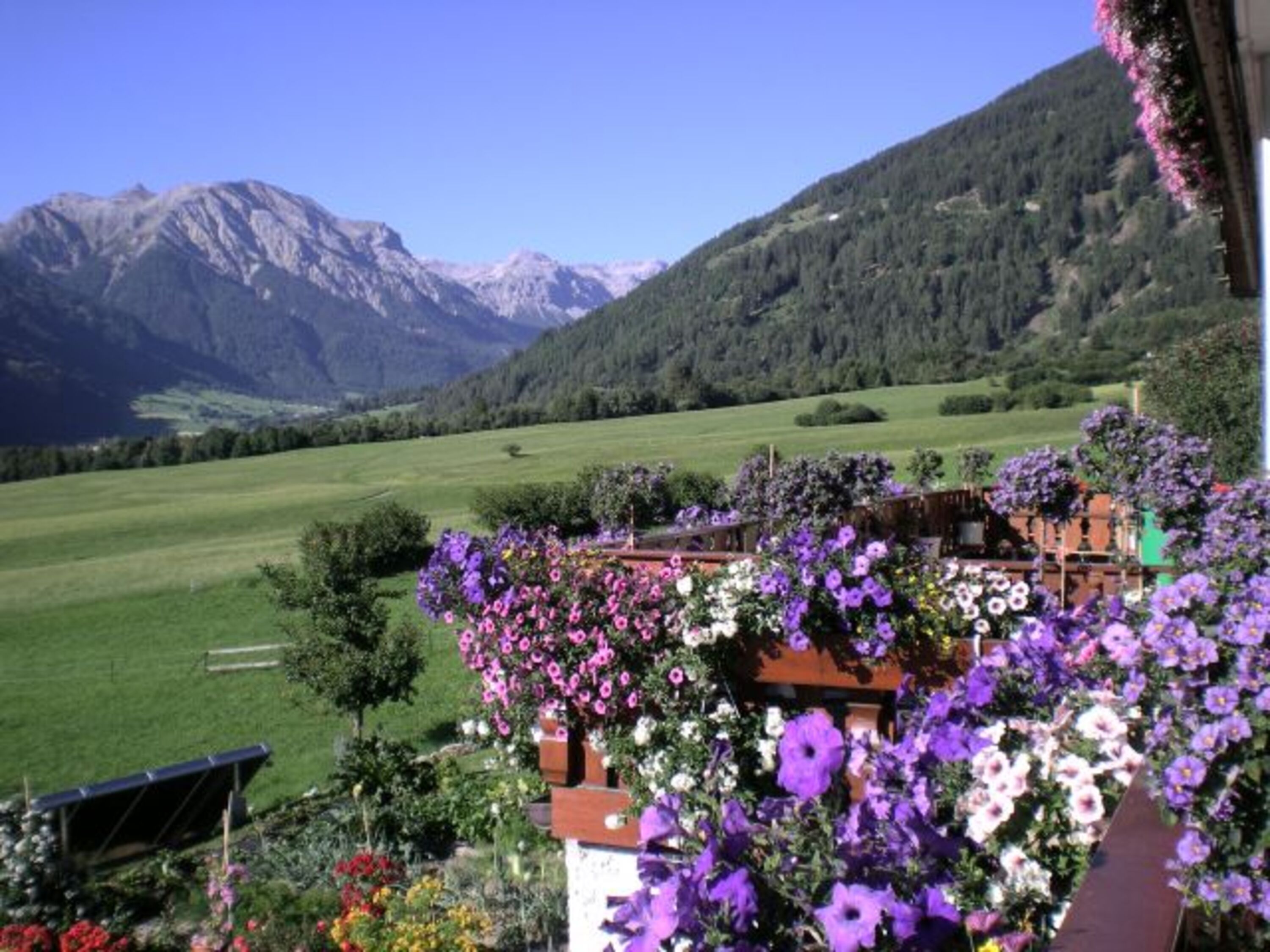 Natur pur