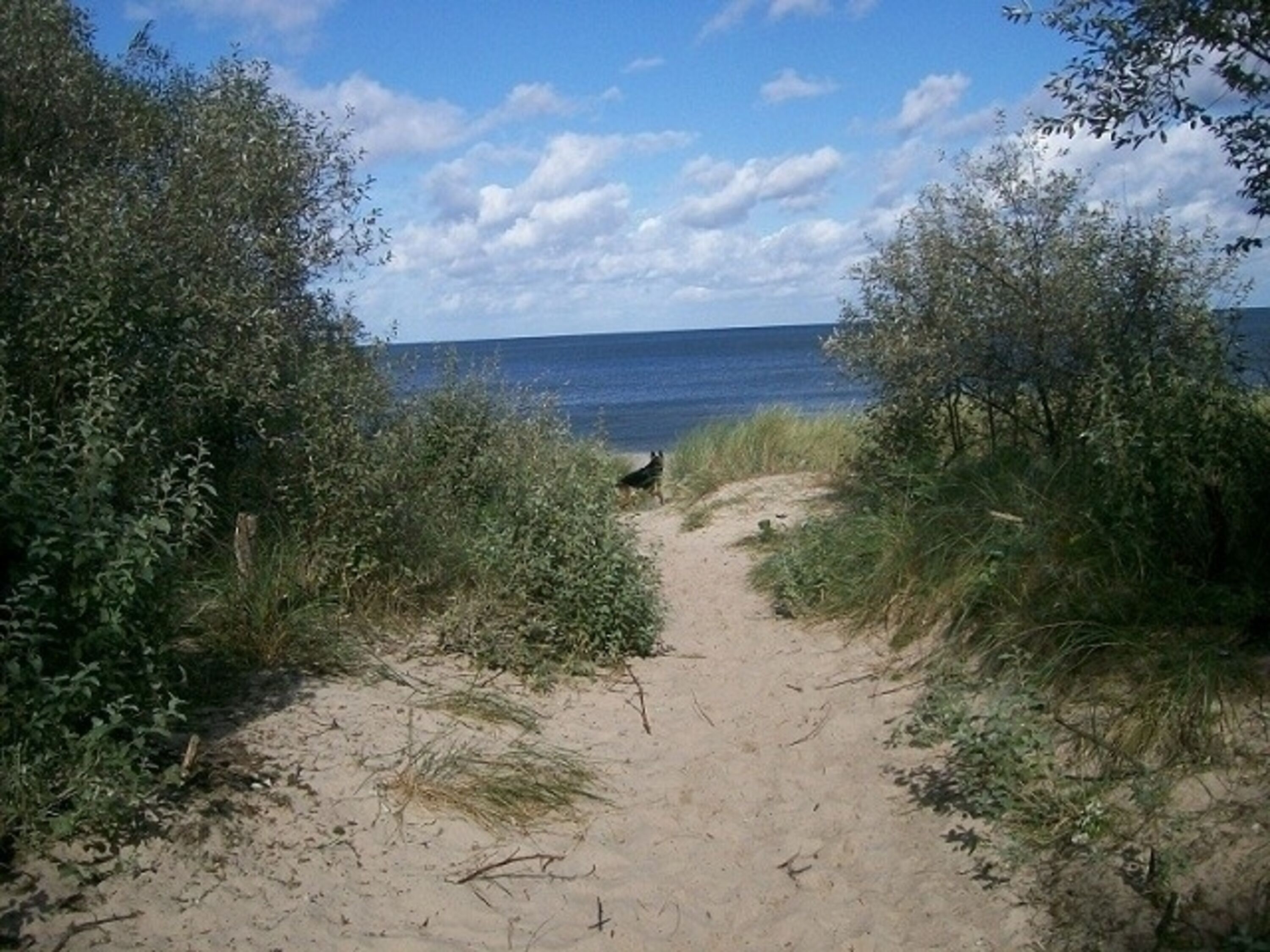 Bild 28