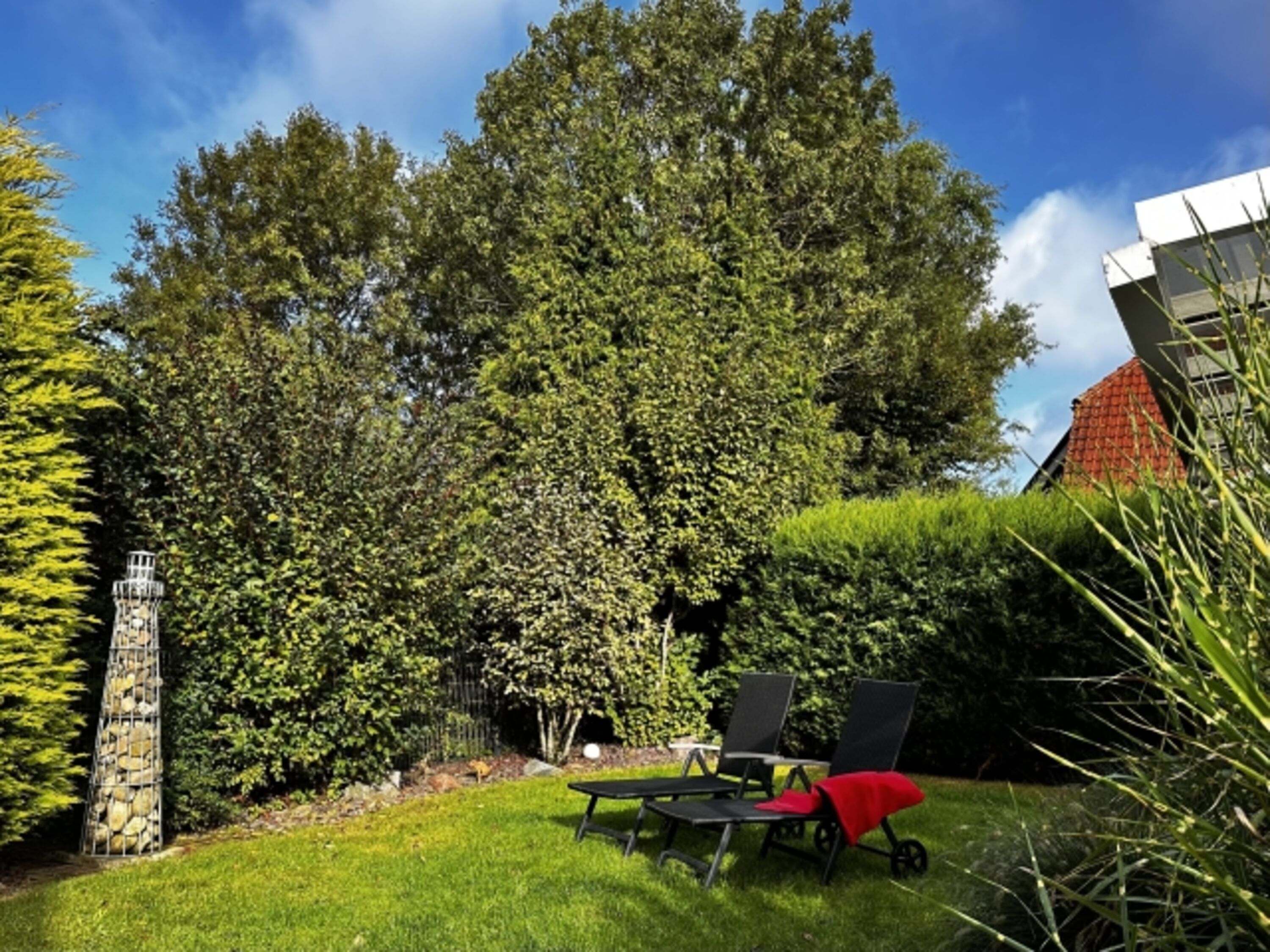 Schöner zugewachsener eingezäunter Garten