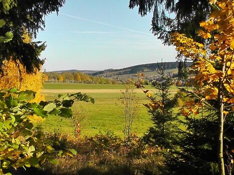 vom Rundwanderweg am Kalkberg - ein Teil des Ortes 