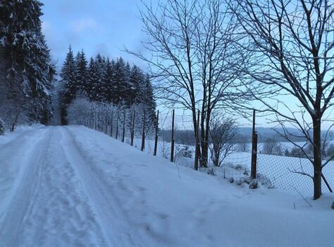 verschneite Waldwege