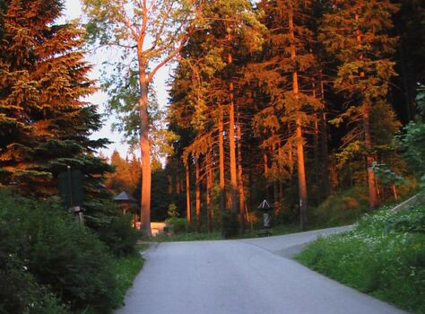 unmittelbar vor der Haustüre beginnen die Wanderwege