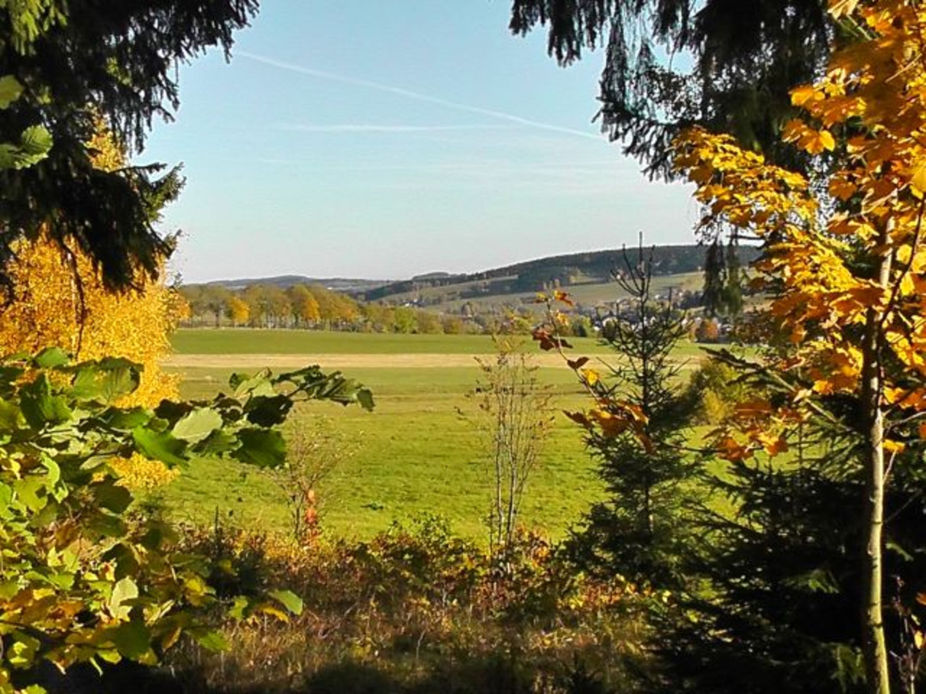 vom Rundwanderweg am Kalkberg - ein Teil des Ortes