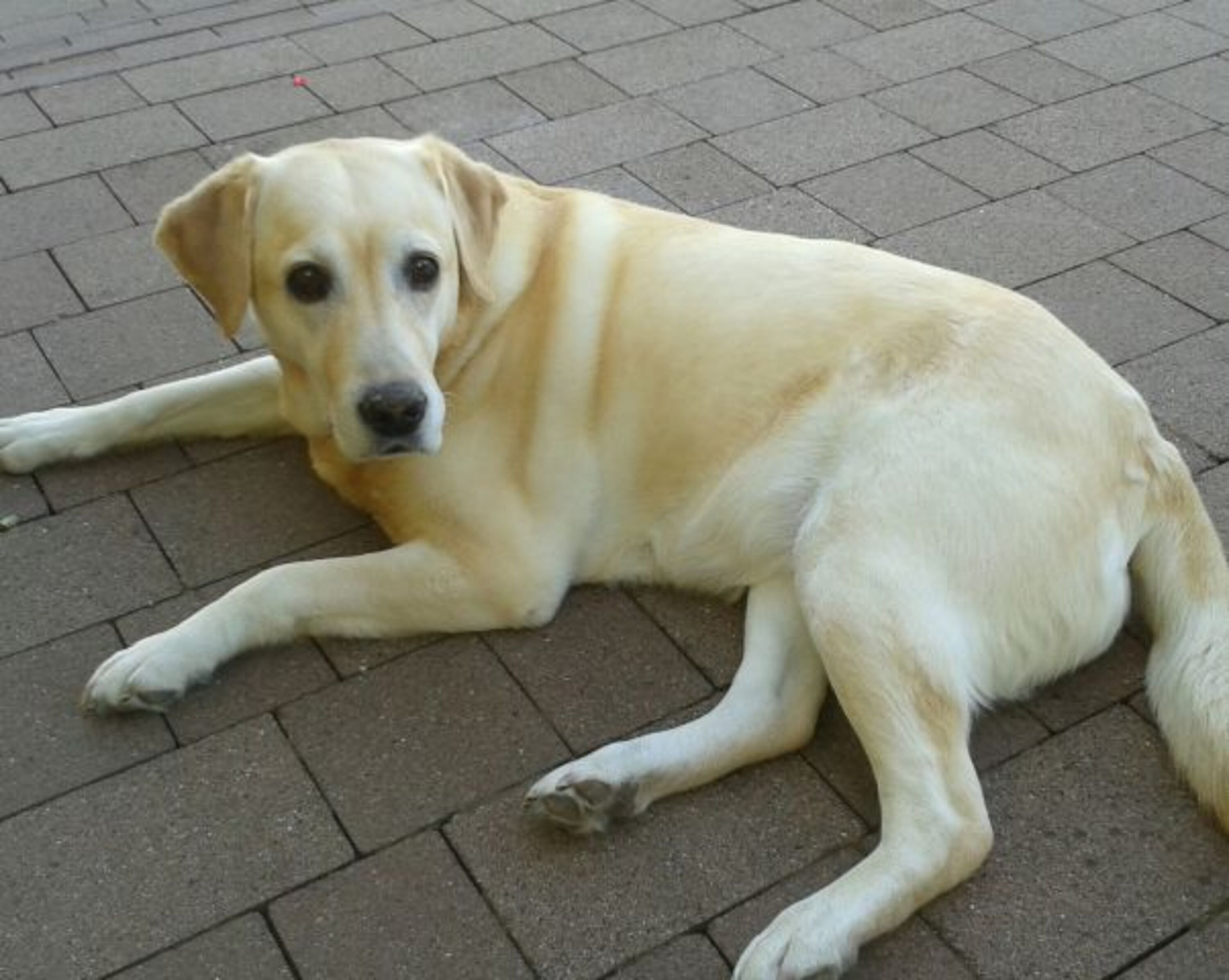 Bild 7