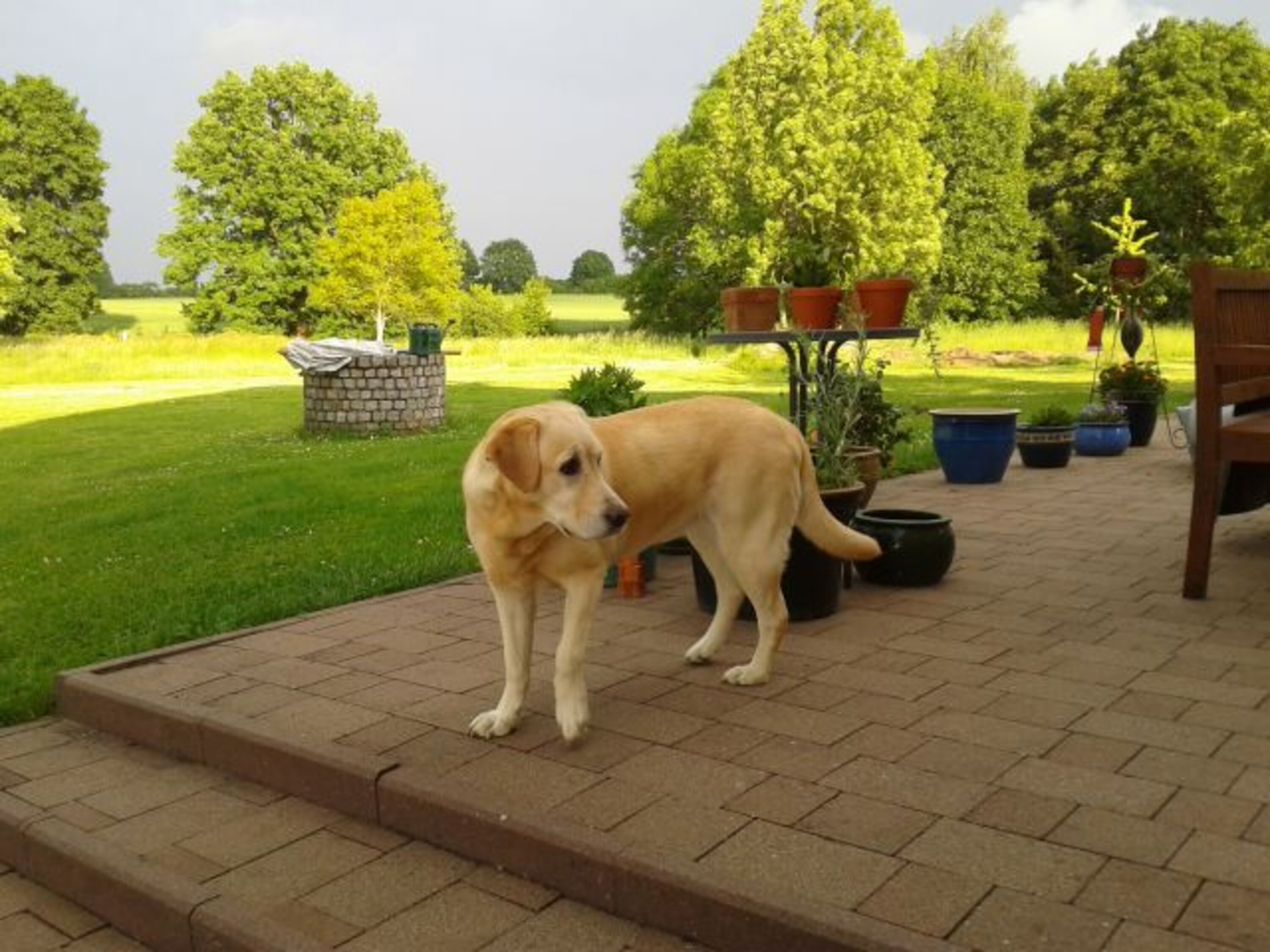 Bild 9