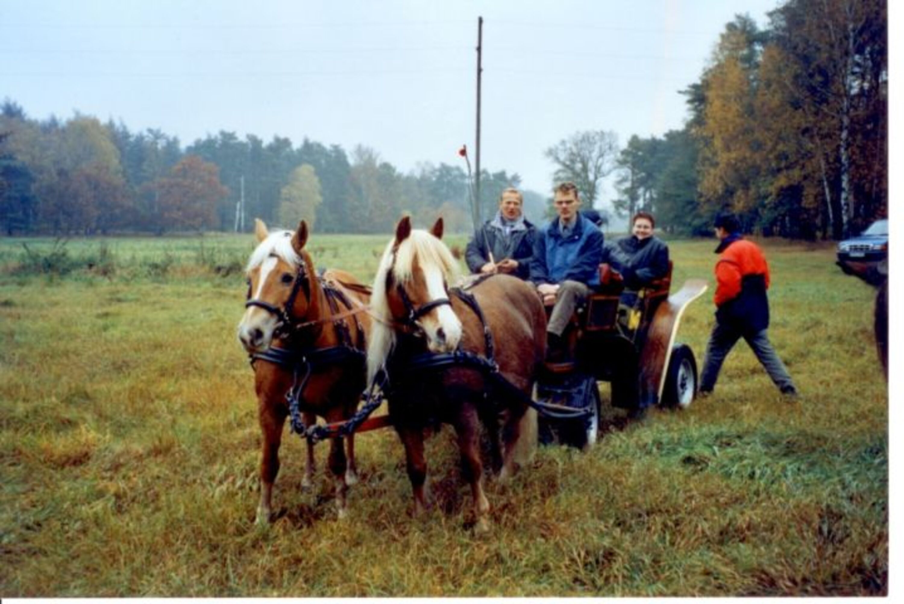 Bild 19