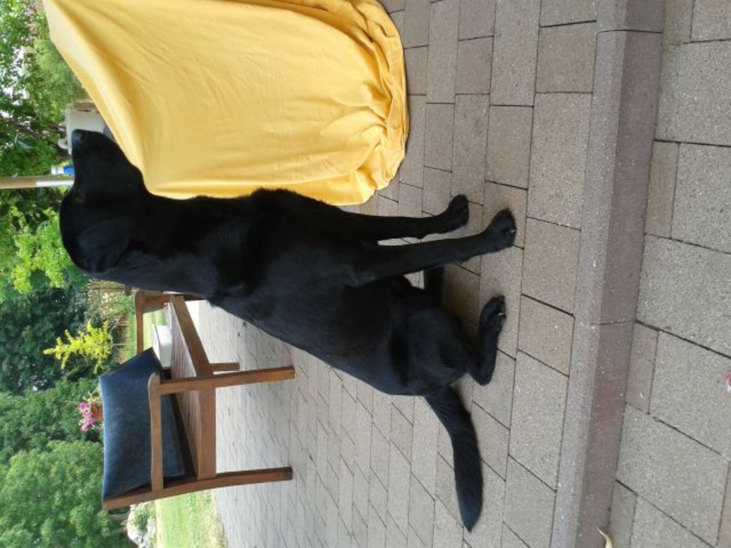 Bild 8