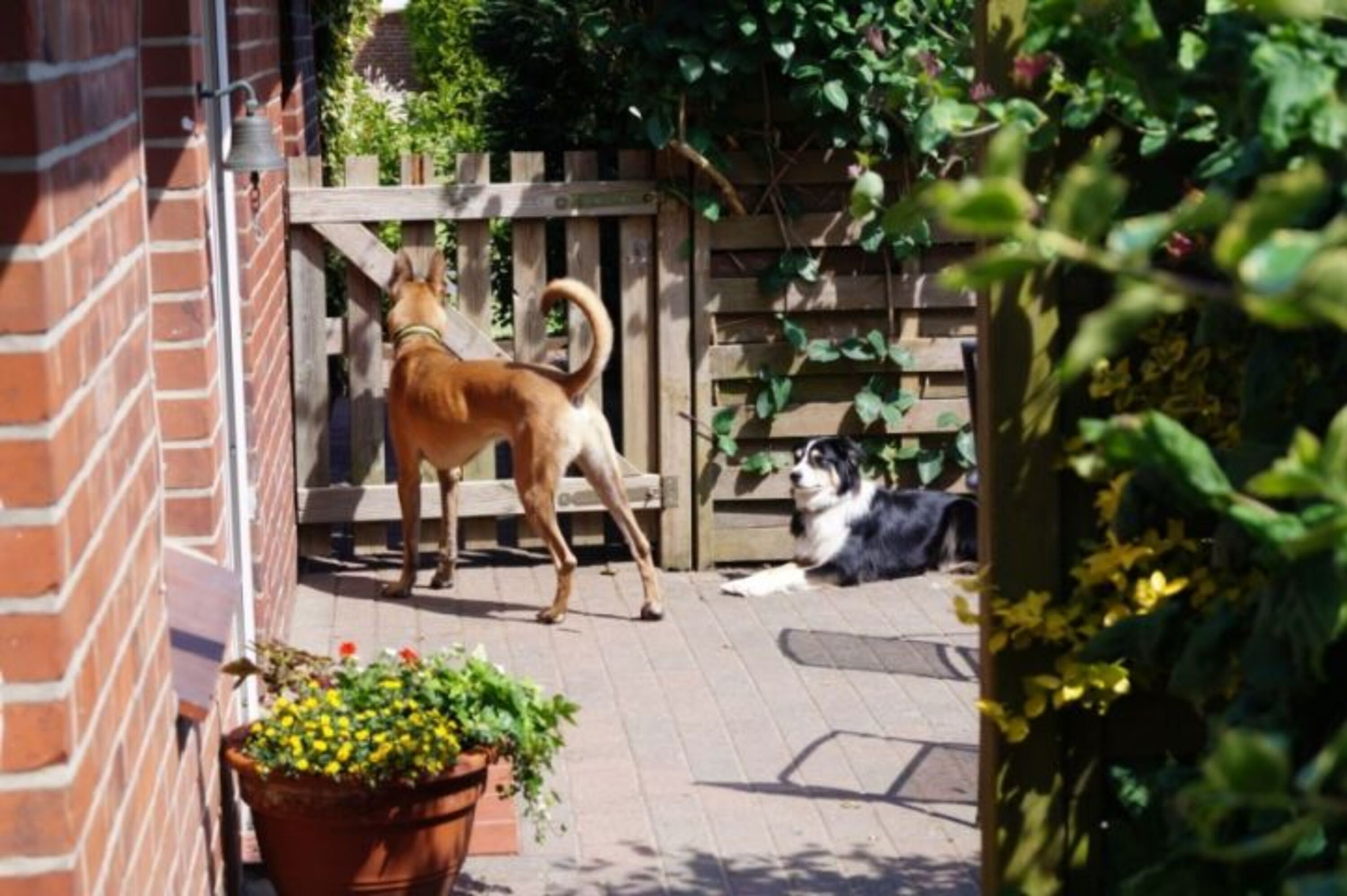 Bild 16