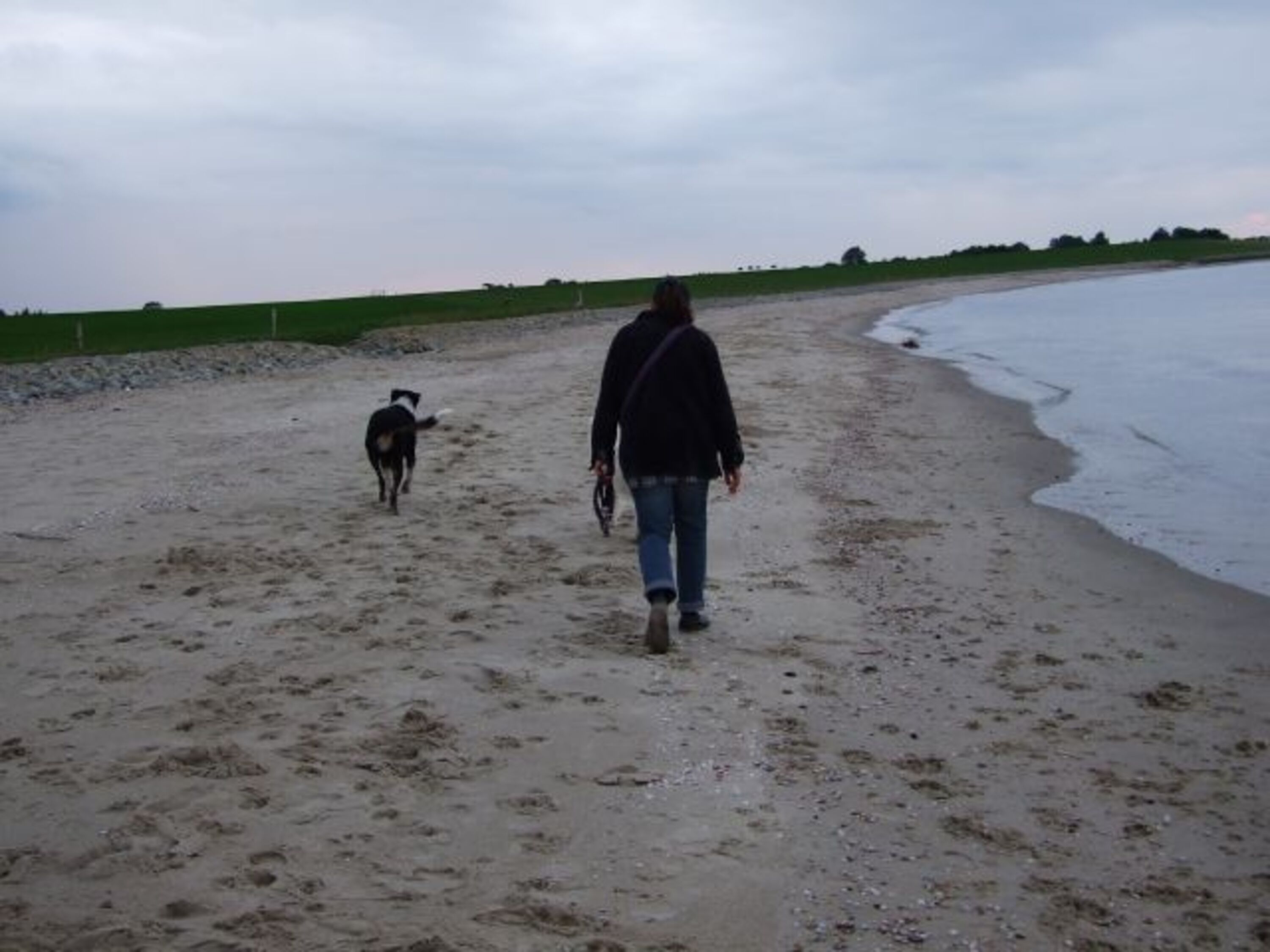 Bild 25