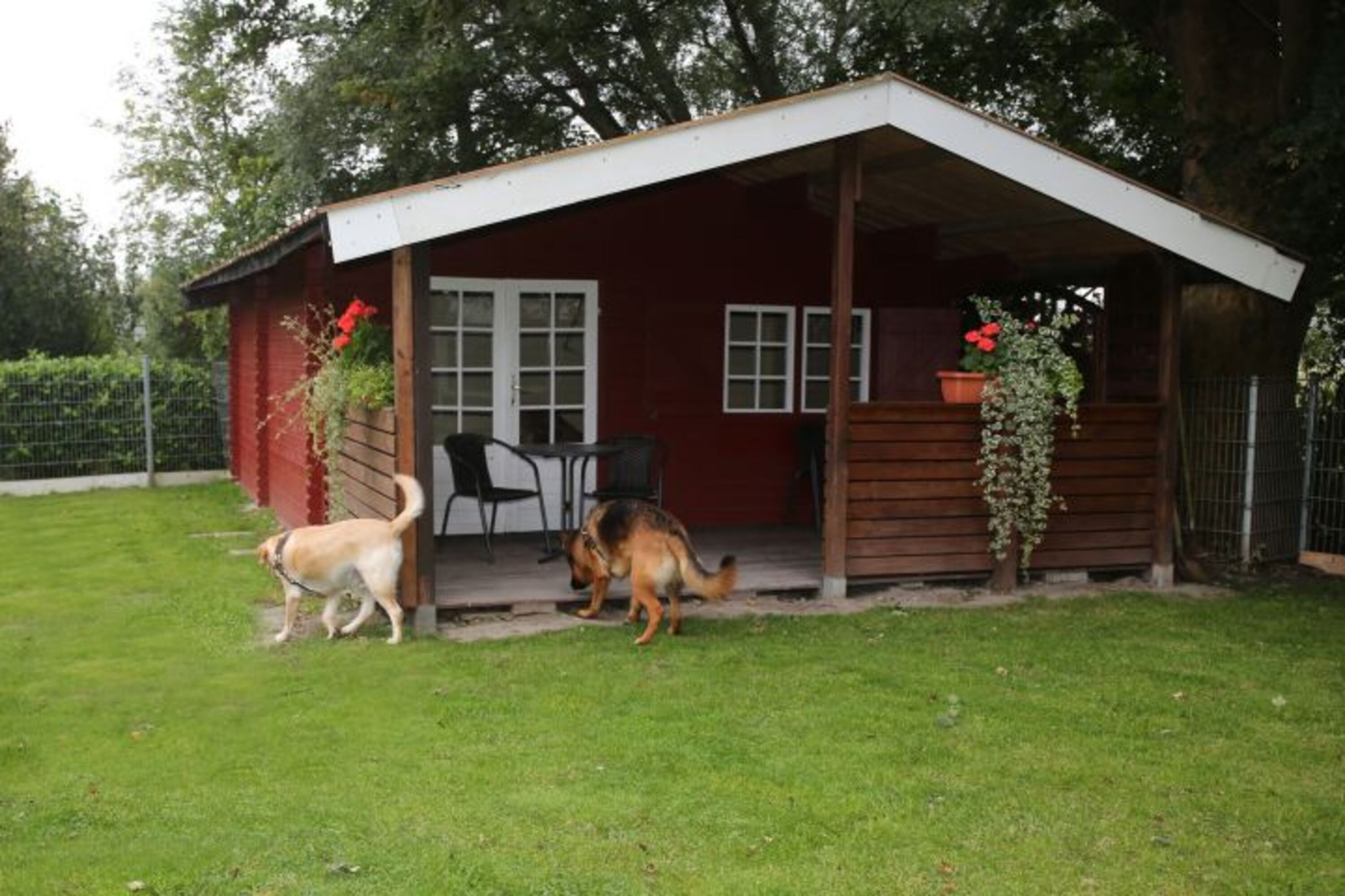 Bild 18