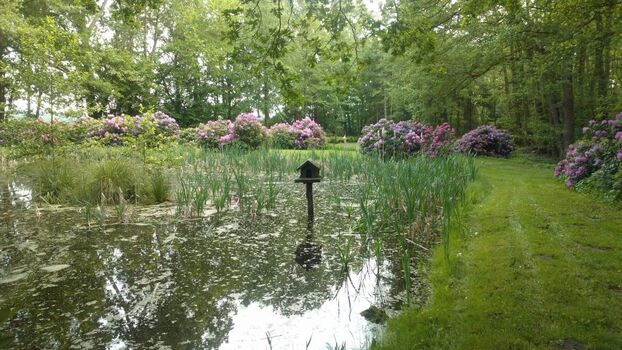 Rhododendron Park im Ort