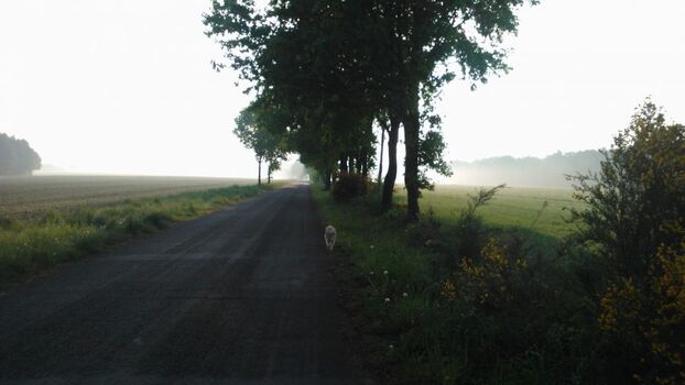 Wege durch Wald und Flur