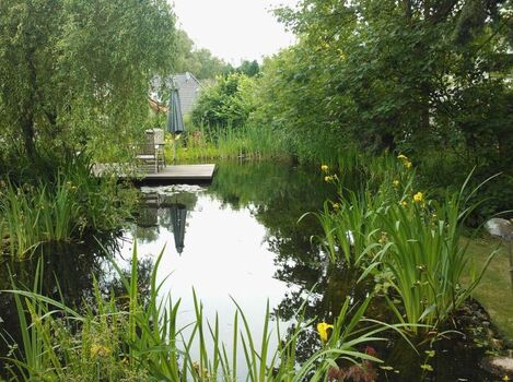 Schwimmteich mit "Landungsbrücke"