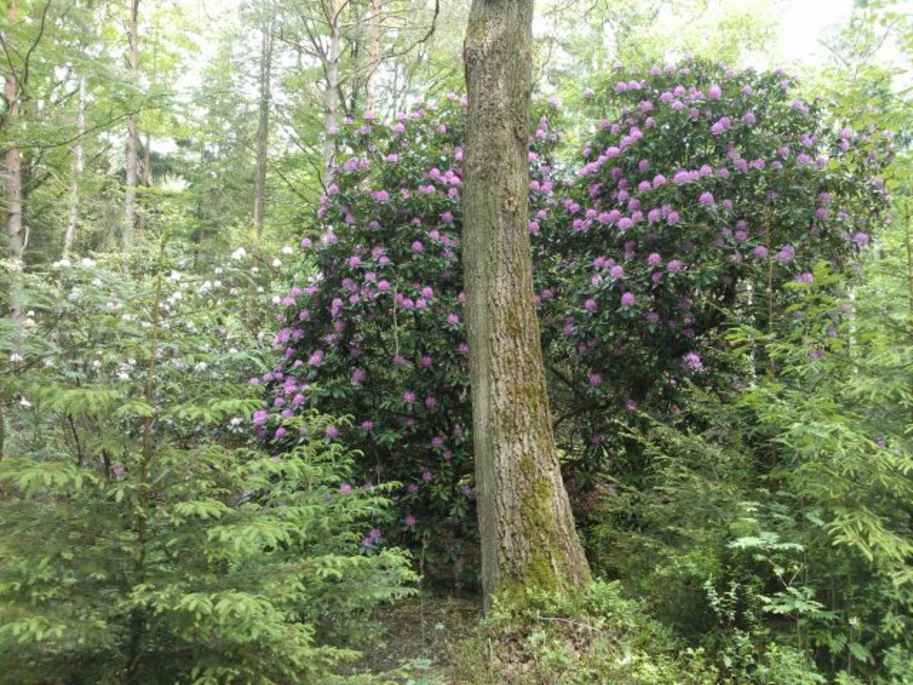 Bild 18