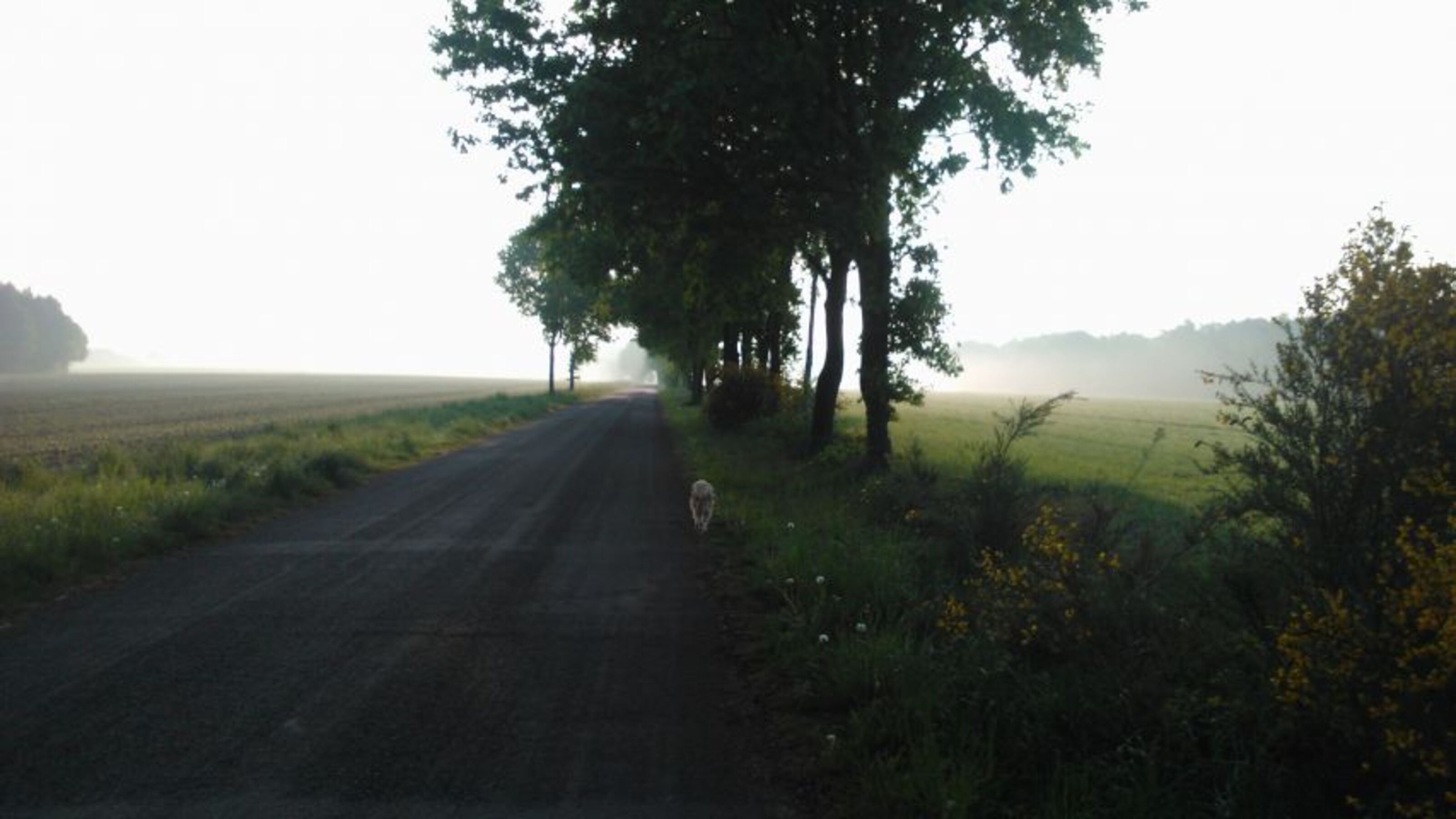Wege durch Wald und Flur
