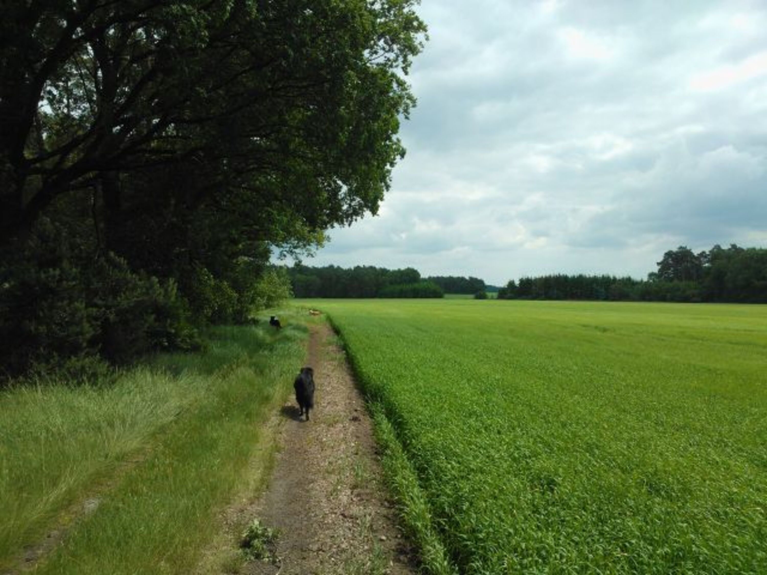 Bild 20