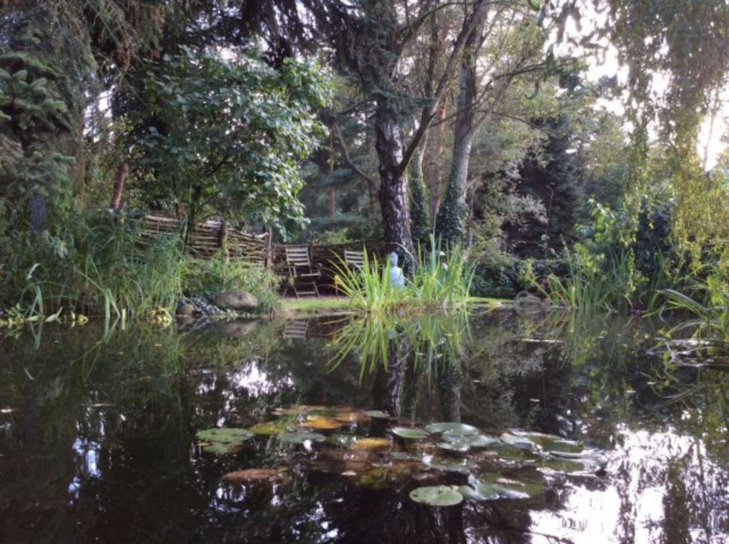 Wasserwelten