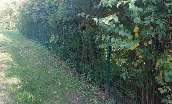 Neuer ZAUN - Doppelstabmatten mit Betonfundament