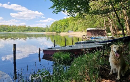 Ruderkahn am Neuenkirchener See kann kostenlos genutzt werden
