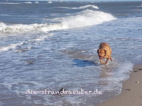 Und ab geht die Post am Strand...