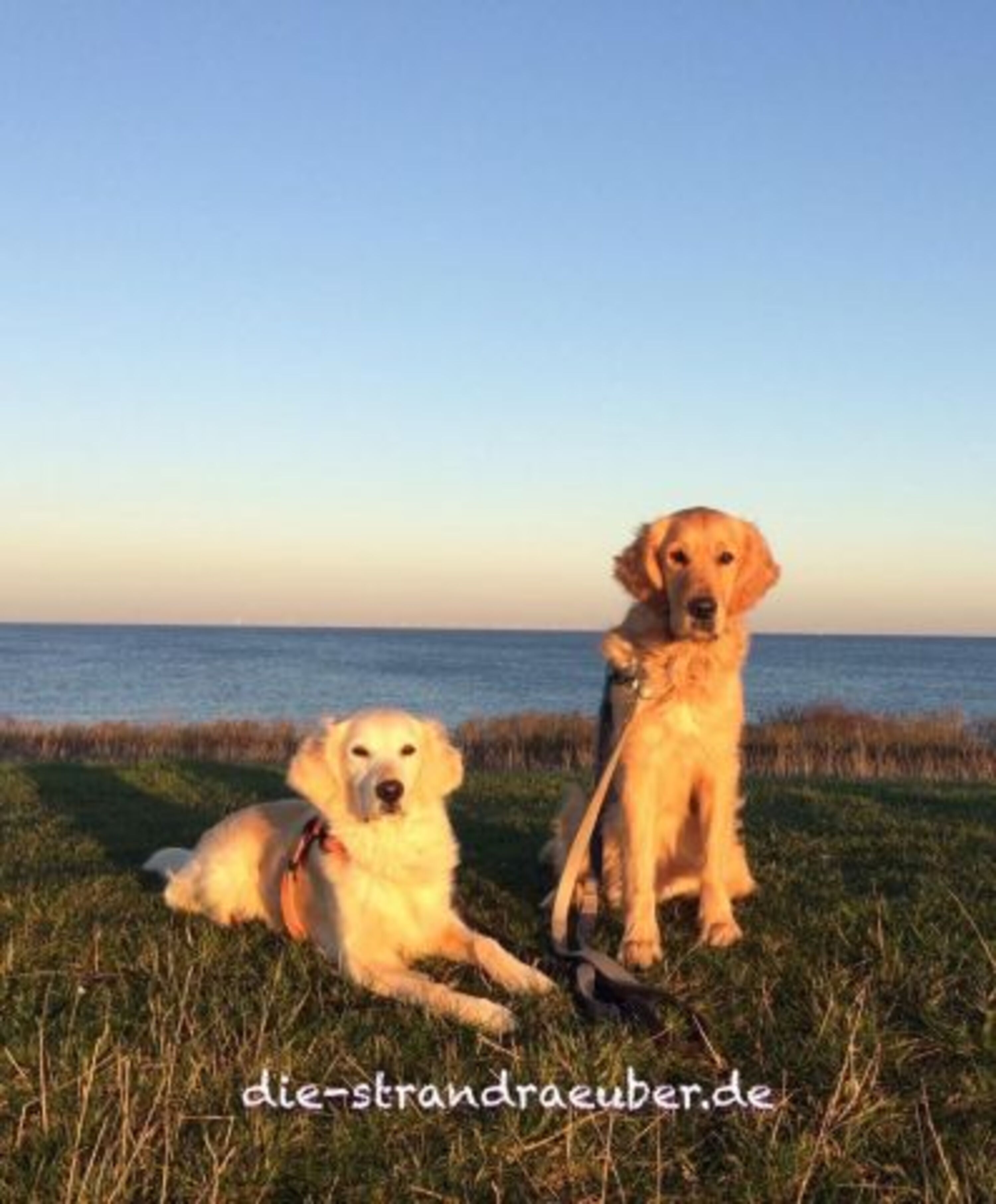 Unsere Strandtester