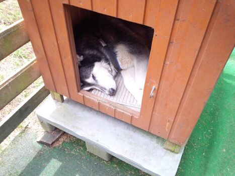 nach dem Wandern ist gut Ruhen