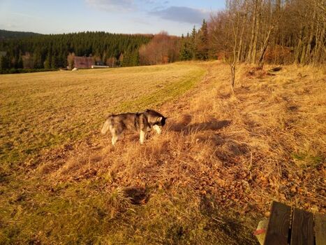 auf der Wanderung wunderschöne Aussicht über das Erzgebirge 