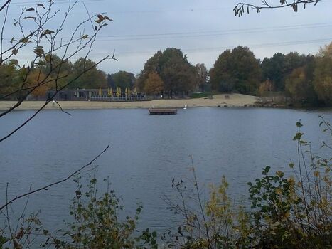 Schwimminsel im Herbst