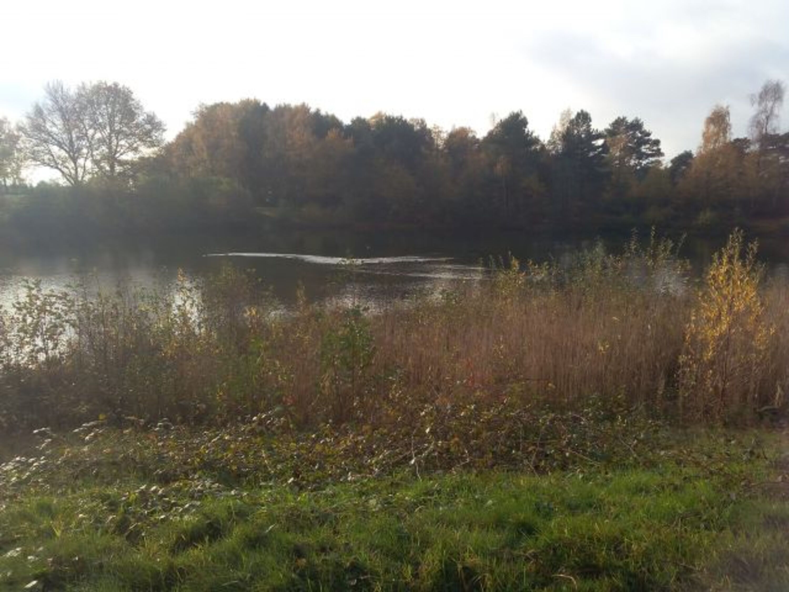 Herbstimpressionen