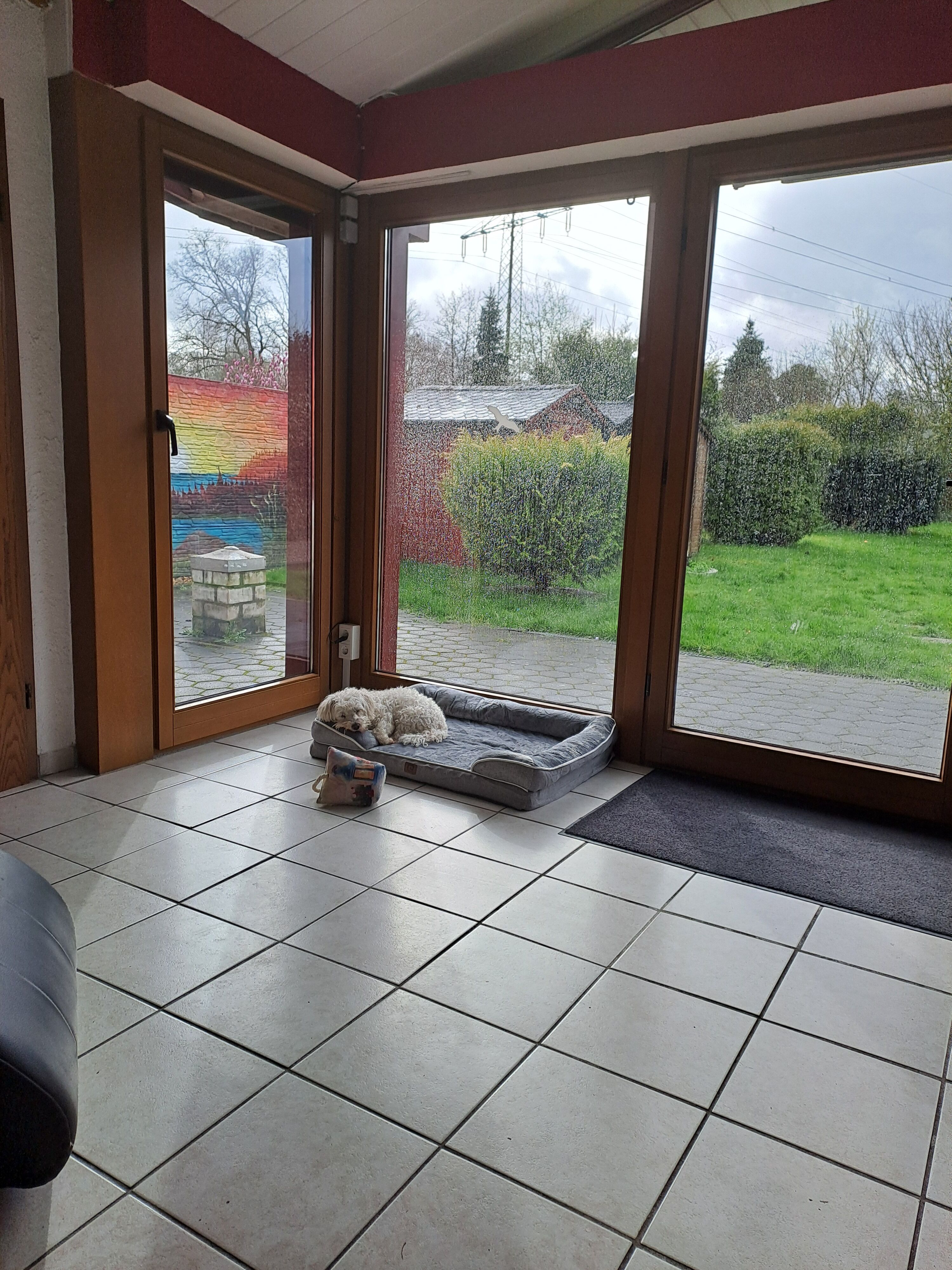 Blick aus dem Wintergarten