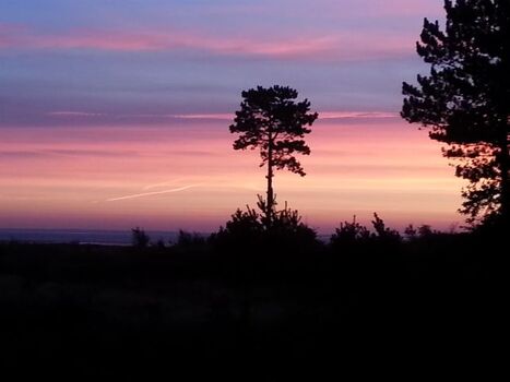 Sonnenaufgang im Mai von derWohnzimmer/ Terrasse