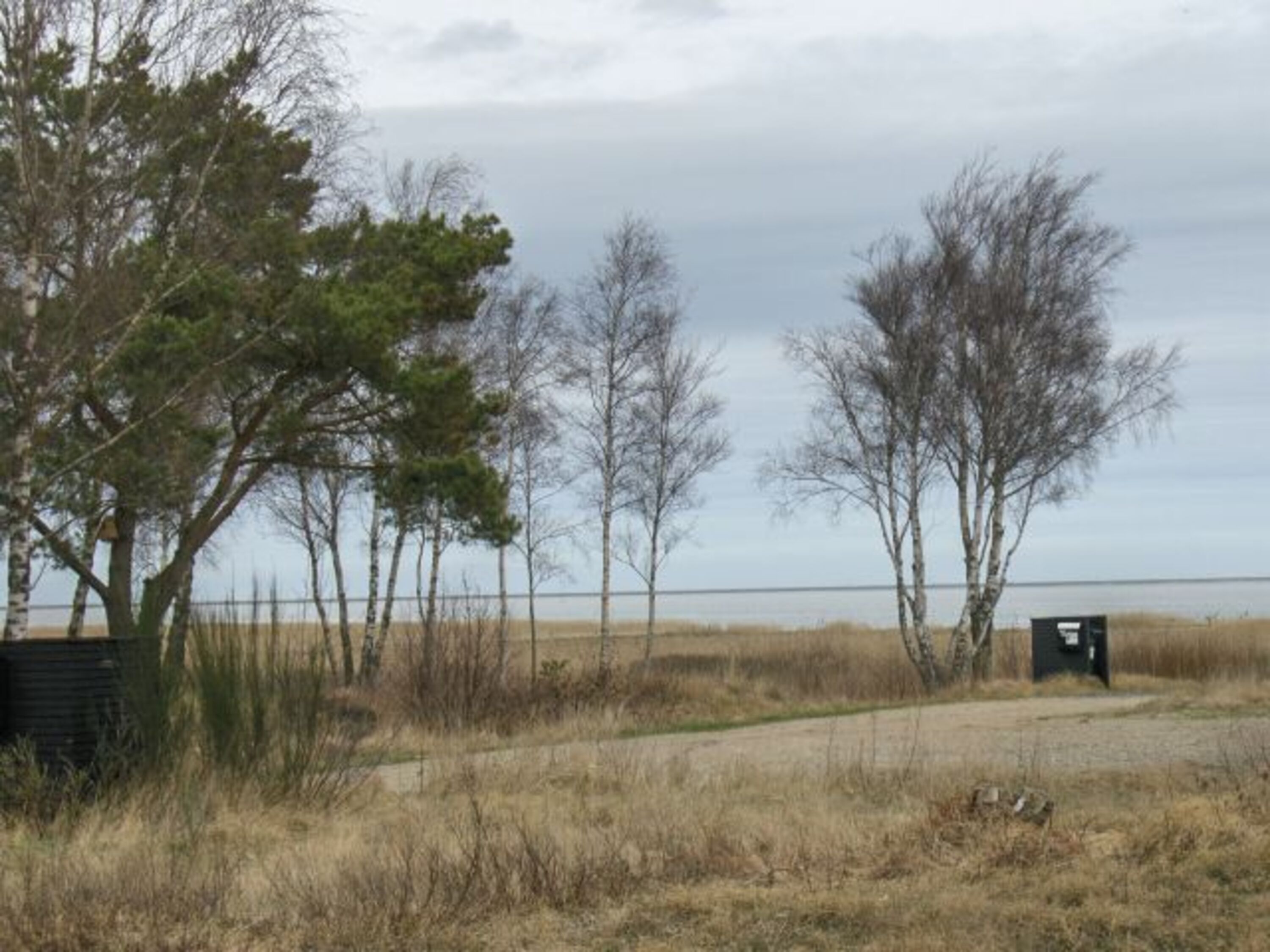 Blick auf das Wattenmeer