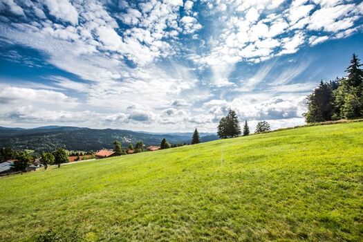 Ausblick vom Hundehotel
